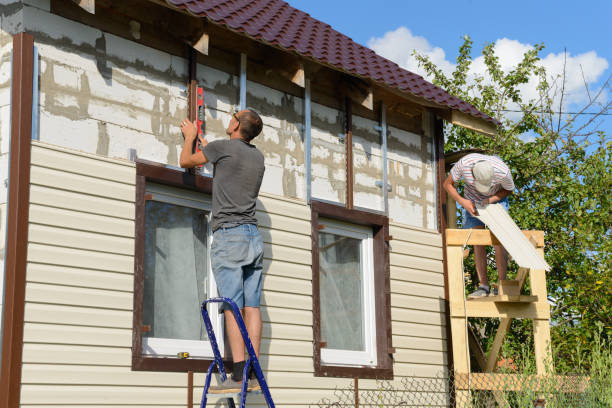 Best Furniture Removal  in Pioche, NV